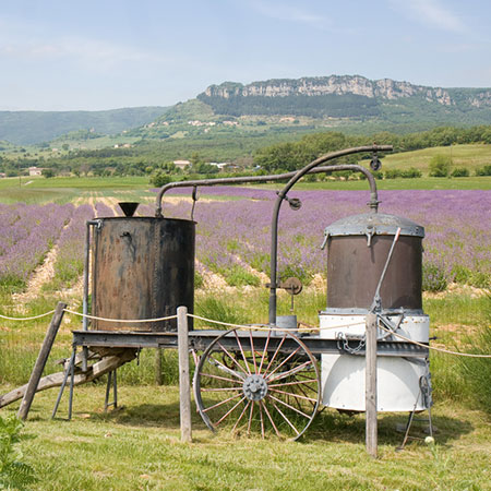 Formation aromathérapie reconnue, certifiante et unique en France